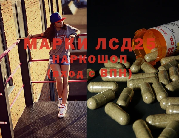 гидра Алексеевка