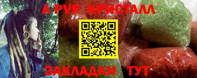 СК Новодвинск