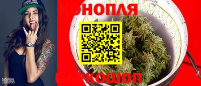 сатива Новозыбков