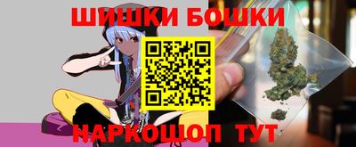 сатива Новозыбков
