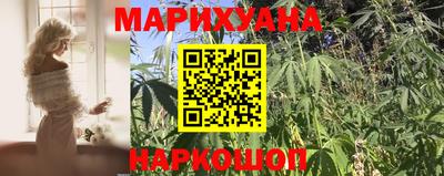 сатива Новозыбков