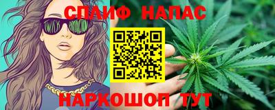 сатива Новозыбков