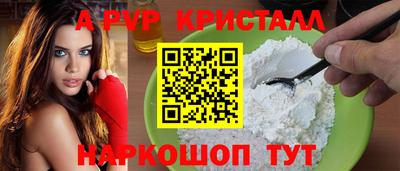 сатива Новозыбков