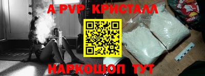 сатива Новозыбков