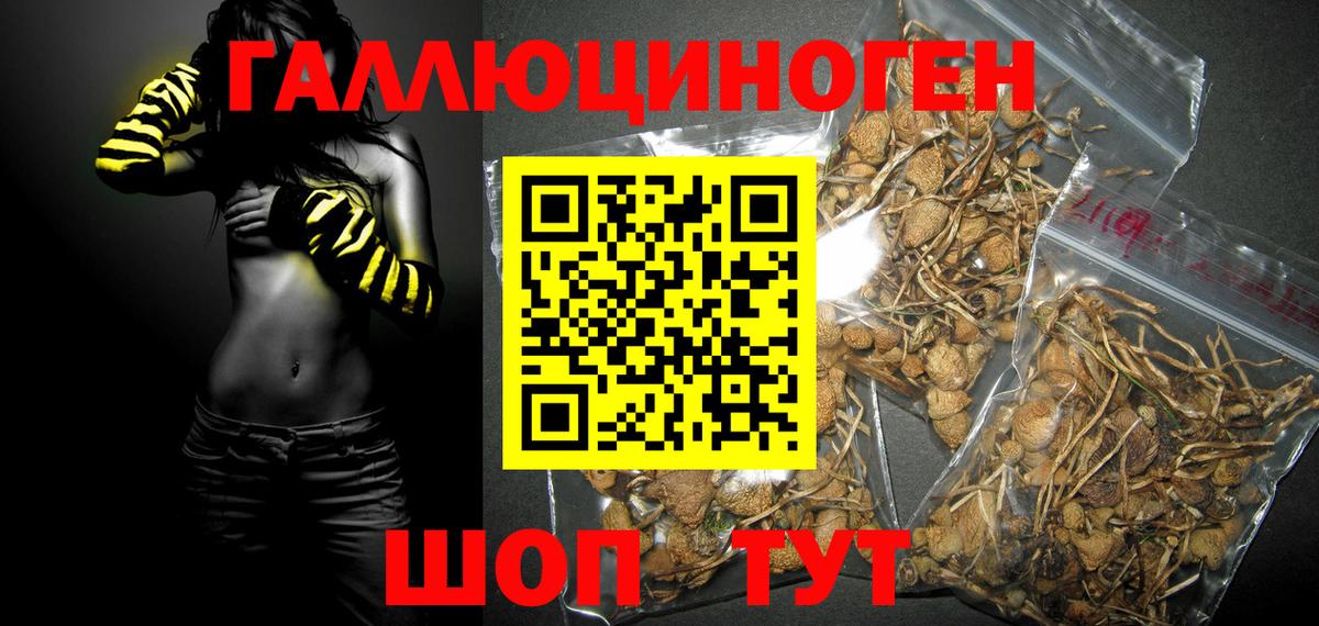 Южно-Сахалинск  Псилоцибиновые грибы мицелий  Вход с VPN 